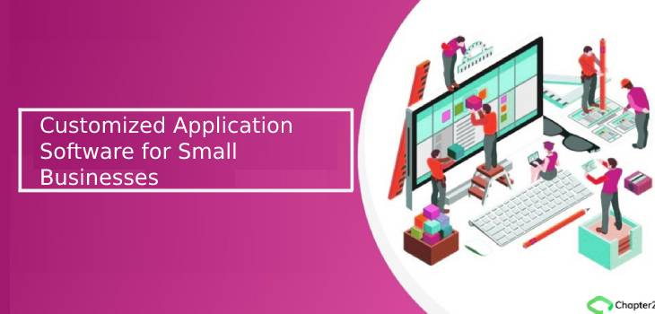 Customized Application Software for Small Businesses