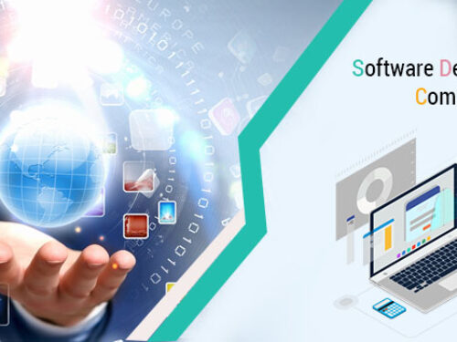 Are You Searching for the Best Software Development Company in India?