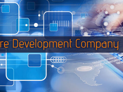 What Are the Benefits of a Software Development Company?