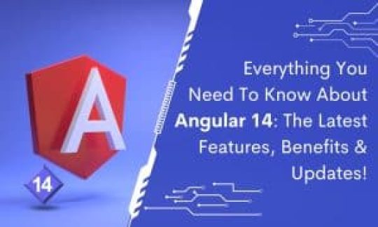Everything You Need To Know About Angular 14 The Latest Features, Benefits & Updates!